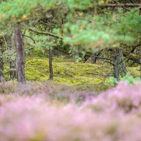 Vakantiehuis 2677 - I Klitterne 4 Neksø