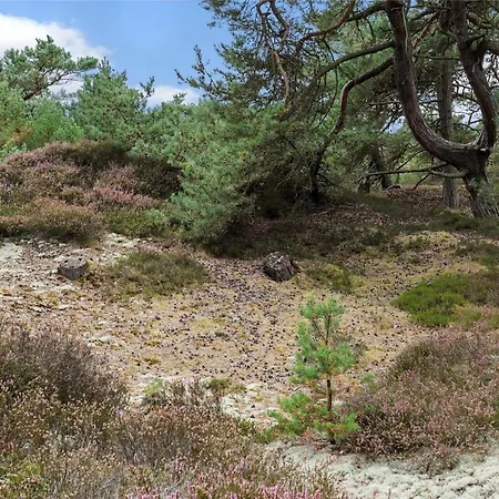 Vakantiehuis 2677 - I Klitterne 4 *