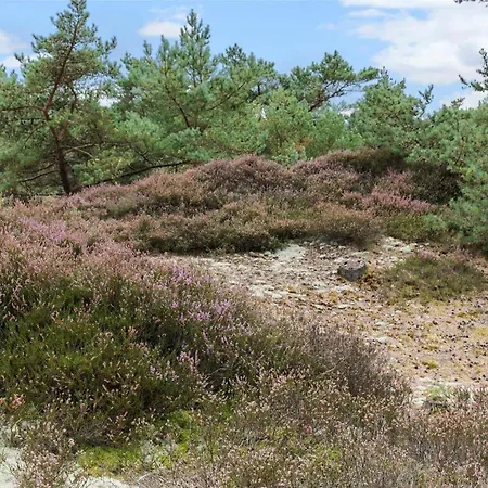 Vakantiehuis 2677 - I Klitterne 4 *